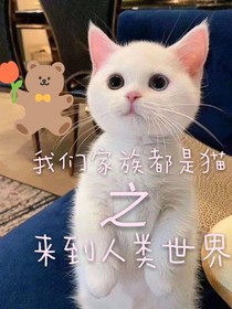 我们家族都是猫之来到人类世界