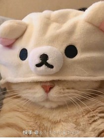 京剧猫第十二道门——判