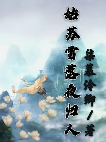 姑苏雪落夜归人