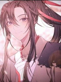 假如魏无羡是蓝家长姐