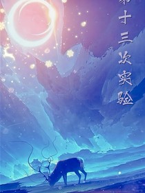 第五：第十三次试验