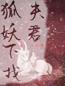 狐妖下凡找夫君