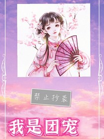 我是团宠2