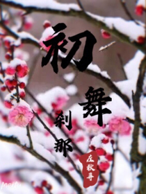 唐门之银冰天下