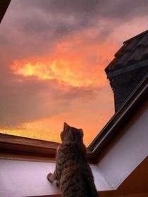 與秦先生同居的365天