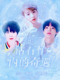 BTS：钻石忙内的奇遇-d124