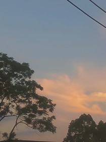 酸桔