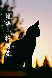 像貓一樣活著