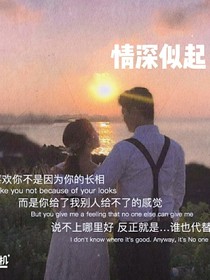 情深似起