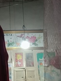 腦葉公司：