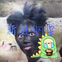 新建纲要