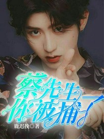 蔡先生，你被捕了