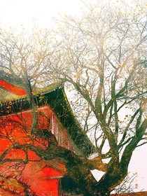 故梦——恍如隔世