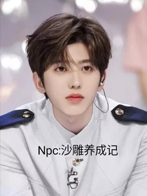 Npc：沙雕养成记
