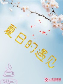 仲夏里的遇見