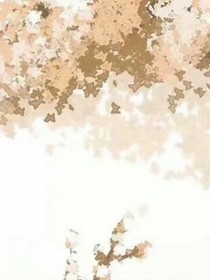 陌I桑