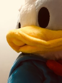 说出来就好了