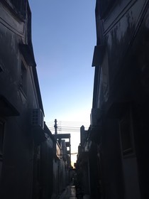我成为了自己的粉丝