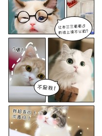 喵咪日常-d201