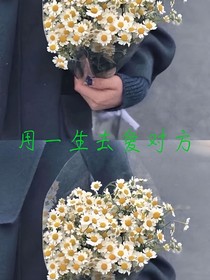 我们用一生去爱对方