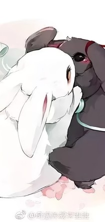 假如魏无羡重来一世