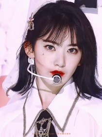 爱情公寓：追星笔记-d226