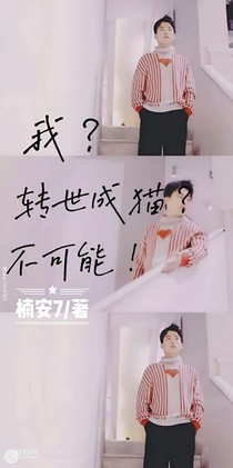 我？轉(zhuǎn)世成貓？不可能！