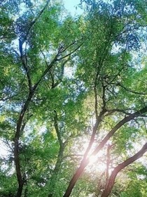 赵小田传奇