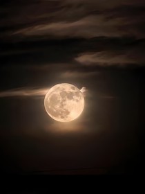 夜雨异闻录