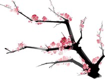 一胎108个宝……我在梁山当老大