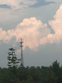 忘吾之森