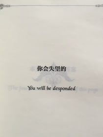 我眼中的光