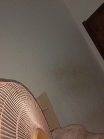 别说看上