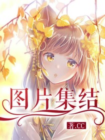 cc专辑图像库