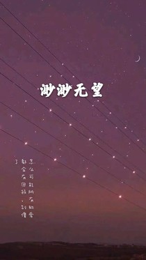 最好的距離