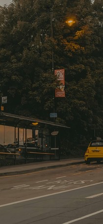 姚琛：溫柔的黎明