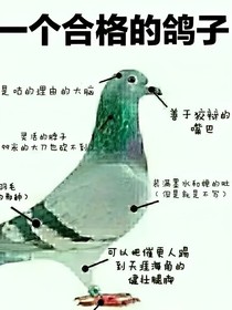 凹凸世界渣文集