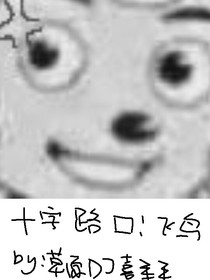十字路口：飞鸟