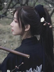 鎮(zhèn)北將軍府