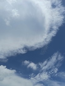 他自远方来