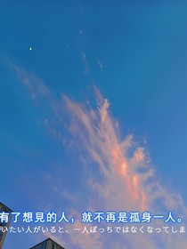 注定是你夫人