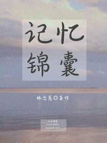 记忆锦囊