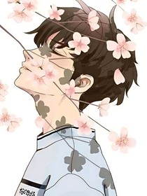 知云暖夏
