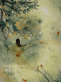 到头来，还是我输了
