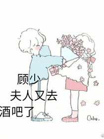 顾少夫人又去酒吧了