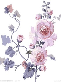 花种
