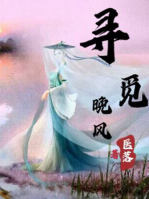 寻觅晚风
