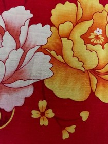 门缝里的小人