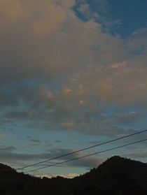 最后的情感