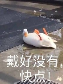 韩娱：朴老师撩汉记